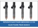 Reparatii Injectoare Mercedes Euro 4 Piezo Bosch - Pret 500 Lei